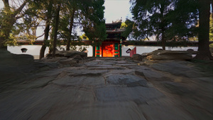 北京北海公园的自然风光阐福寺19秒视频