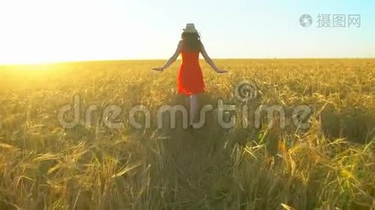 快乐的旅行者，年轻的西班牙裔美女，在日落的夏天在麦田上奔跑。 自由健康幸福旅游视频