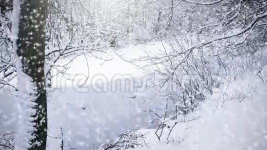 下雪了视频