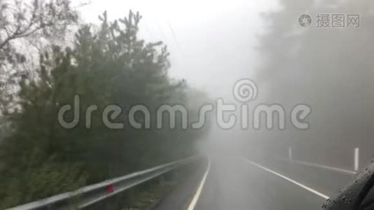 雾中的森林.视频