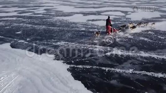 无人机在贝加尔湖上跟着一个狗队开枪。视频