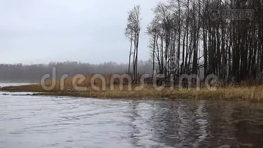 雾笼罩着湖面.视频