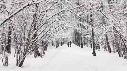 公园里下雪了视频