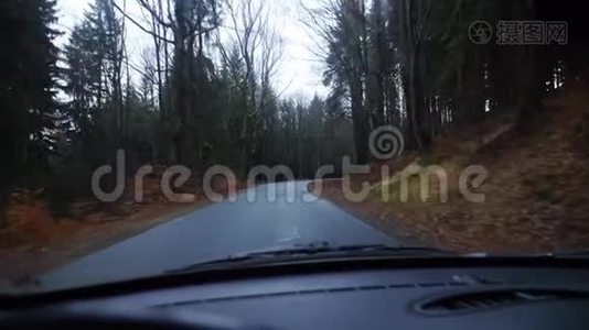 汽车穿过树林视频