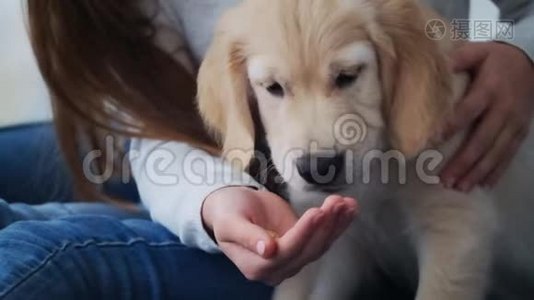小狗用手吃东西视频