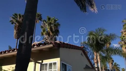 各种棕榈树在风景优美的圣巴巴拉酒店4K顶迎风移动视频
