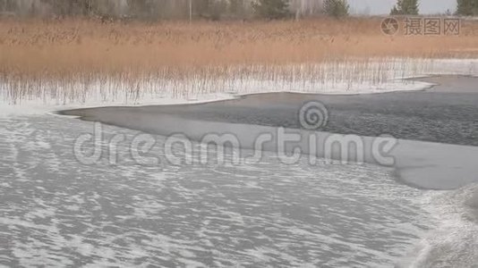 有干芦苇的冰冻湖..视频