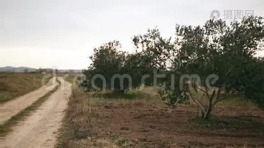 小橄榄农场路视频
