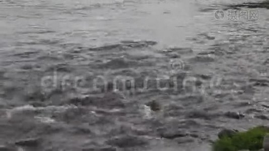 伊巴尔河的速度视频
