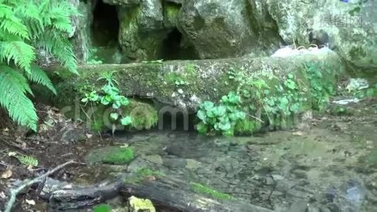 夏季洞穴中的饮用水来源视频