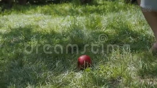 白雪公主从草地上摘苹果视频