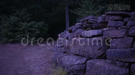 森林里一个年轻女人的鬼魂。 古代废墟的鬼魂。 万圣节视频