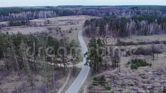 在森林里的空车路上骑着自行车的有动力的骑车人。 铁人三项运动员骑着铁人三项计时自行车骑着艾尔斯视频