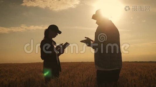 剪影农户田间劳作，沟通，看碑.. 两个农民在田里谈话，用平板电脑视频