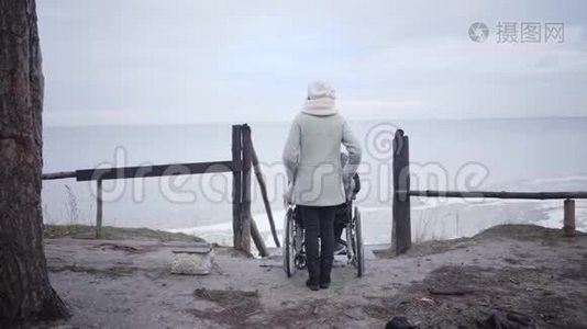 女性无效投标后景与残疾人坐轮椅站在冰冻河岸。 高加索妇女和视频