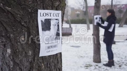 白种人模糊的女人在树上挂着丢失的猫广告，一则广告在前景上。 年轻女孩在寻找视频