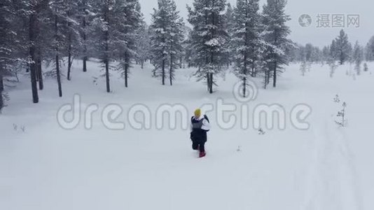 游客在冬季漫步林中，空中。 冬季体育活动。 游客徒步旅行雪冬森林雪视频