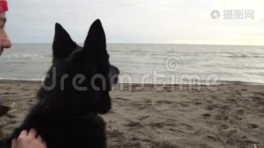 德国牧羊犬及其主人沿着波蒂黑海沿岸散步视频