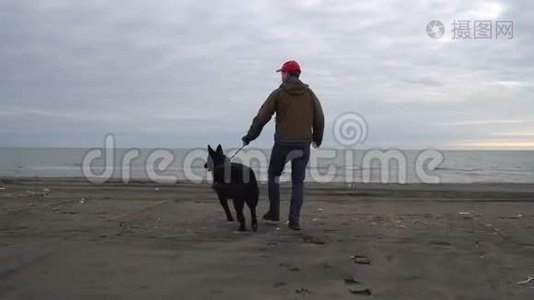 德国牧羊犬及其主人沿着波蒂黑海沿岸散步视频