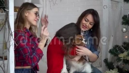 两个女人和抱着狗的小女孩在圣诞树旁视频