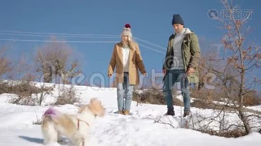 一对年轻漂亮的夫妇在雪山上和一只活跃的小狗玩耍视频