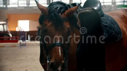 竞技场-年轻女子抚摸着马的刘海视频