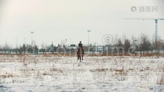 骑马——骑马的女人骑着一匹马，骑在雪地上视频