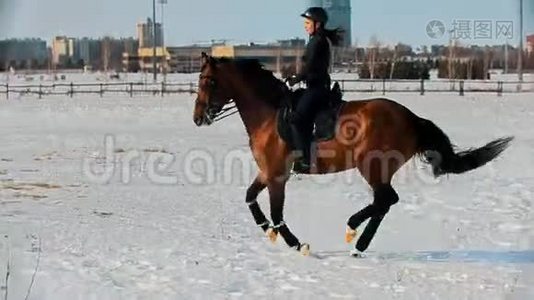 骑马的妇女骑马驰骋在雪地上视频