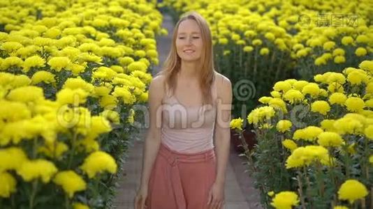 一个年轻的女人走在许多黄色的花中，东亚人成长为庆祝农历新年。 旅费视频