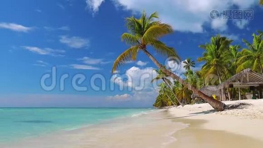 热带加勒比岛屿索纳，多米尼加共和国。 美丽的海滩、棕榈树和清澈的海水视频