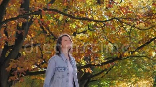 浪漫的心情，女人在公园里举起手臂的肖像，秋天的落叶视频