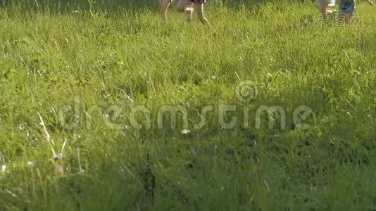 阳光明媚的夏日，一大群孩子穿着便服微笑着在公园里奔跑视频