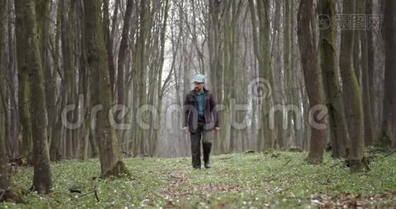 大胡子植物学家在春天的森林里散步视频