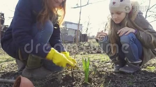 母女俩在花园里种花视频