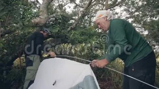 两名旅行者徒步旅行者在丛林中的森林露营中搭帐篷。视频