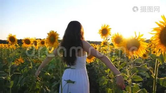 穿着裙子的女孩站在向日葵的田野上举起双手。 无忧无虑的妇女放松或享受自由视频