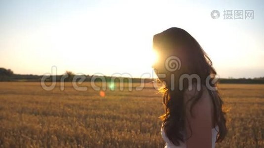 美丽的女孩正沿着麦田走，背景是太阳耀斑。 年轻女子去草地的照片视频