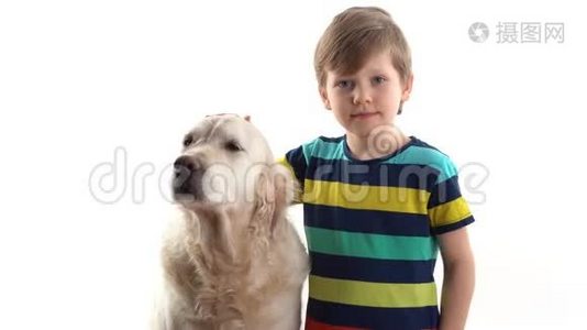 对宠物的关心和爱护.. 小男孩在画室的白色背景上摆着一只金色猎犬视频