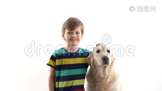 对宠物的关心和爱护.. 小男孩在画室的白色背景上摆着一只金色猎犬视频