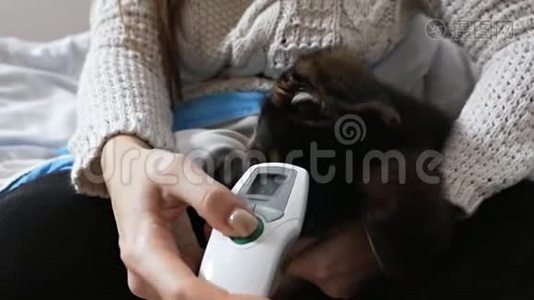 女孩用电子医用红外线体温计检查狗狗的温度视频