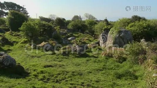 小草地上的大岩石视频