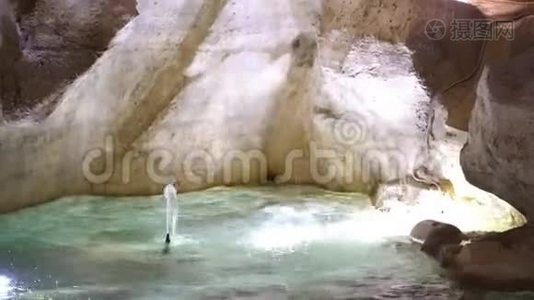 特雷维喷泉的静态镜头视频