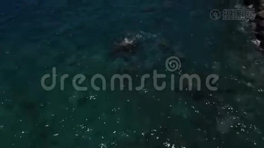 无人机在海上飞行的画面视频