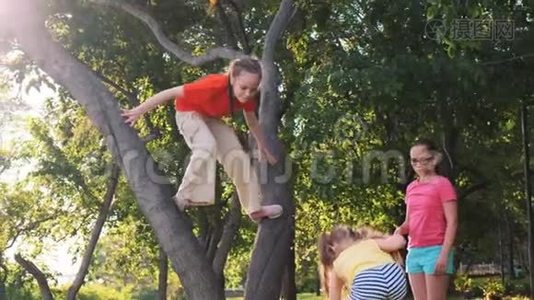 快乐的孩子爬上了树。视频