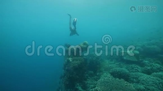 一个自由的女人在蓝色的海洋里游泳，有热带鱼和珊瑚。视频