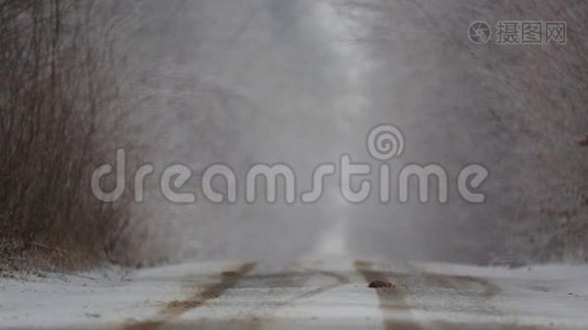 暴风雪中的森林冬季道路。视频