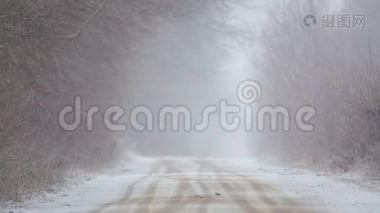 暴风雪中的森林冬季道路。视频