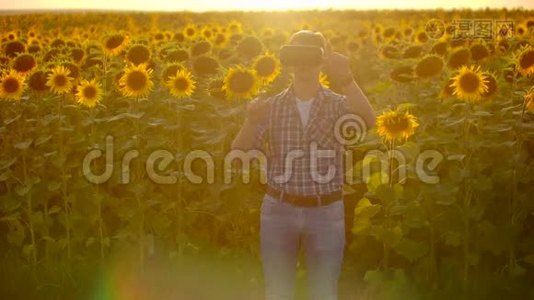 一个男人站在田野上，戴着向日葵，戴着虚拟现实眼镜工作。 他测试现代科技视频