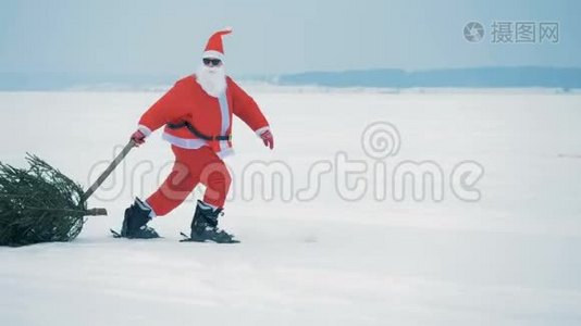 穿着圣诞老人服装的人一边滑雪一边拉着圣诞树。视频