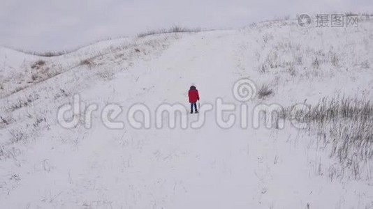 一个孩子走在白色的雪山上，手里拿着雪橇。 冬季运动会。 寒冷的气候条件。 雪山视频